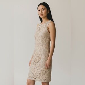 Cache Elegant Lace Sleeveless Dress - champagne sheath dress size 4 women’s 301